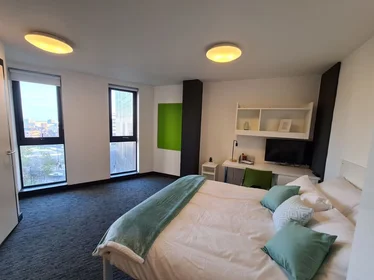 单间公寓 在住宅内 在 St James' Point Pitt Street, Newcastle upon Tyne NE4 5SU, United Kingdom, 34的图像8