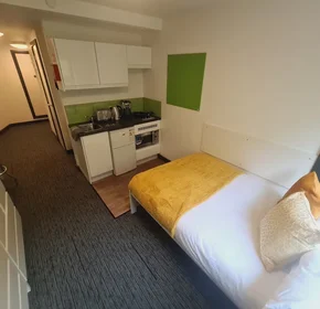 单间公寓 在住宅内 在 St James' Point Pitt Street, Newcastle upon Tyne NE4 5SU, United Kingdom, 33的图像2
