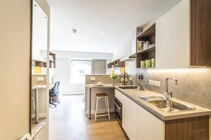 Studio en résidence à Brewers Court, 63 Calton Rd, Edinburgh EH8 8DP, United Kingdom, image 18 de 24