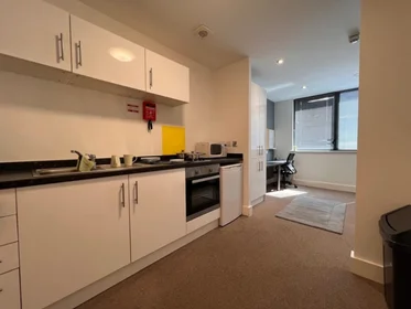 Kawalerka w rezydencji 1 Goldsmith St, Nottingham NG1 5JS, United Kingdom                     , obraz 2 16
