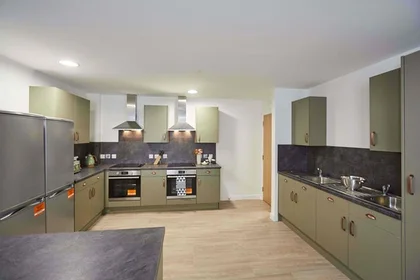 Özel oda Ikamet yerinde konumu 5 Blackhorse Ln, London E17 6DS, United Kingdom, 5 22 görüntüsü