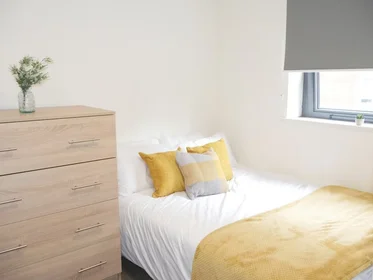 Całe miejsce w rezydencji 59 Edward St, Sheffield S3 7BY, United Kingdom                  , obraz 1 15