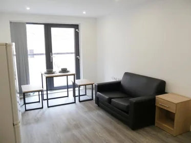 Całe miejsce w rezydencji 59 Edward St, Sheffield S3 7BY, United Kingdom                  , obraz 3 15