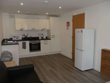 Całe miejsce w rezydencji 59 Edward St, Sheffield S3 7BY, United Kingdom                  , obraz 4 15