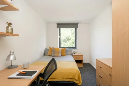 Całe miejsce w rezydencji 59 Edward St, Sheffield S3 7BY, United Kingdom                  , obraz 6 15