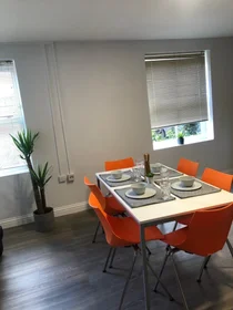 Całe miejsce w rezydencji 59 Edward St, Sheffield S3 7BY, United Kingdom            , obraz 9 17