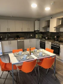 Całe miejsce w rezydencji 59 Edward St, Sheffield S3 7BY, United Kingdom            , obraz 15 18