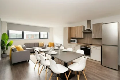 Prywatny pokój w rezydencji 17 Hollis Croft, Sheffield City Centre, Sheffield S1 4NQ, United Kingdom, obraz 5 37