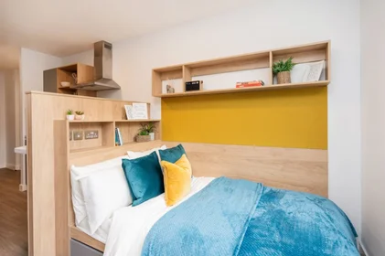 Great studio apartment in {area}