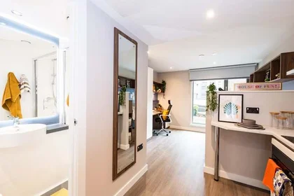 Studio im Wohnheim in der 8 Nelson Street, Belfast, BT15 1BH, UK, bild 2 von 33