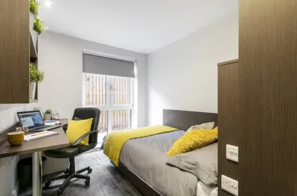Całe miejsce w rezydencji 36 Edward St, Sheffield S3 7HX, United Kingdom               , obraz 15 25