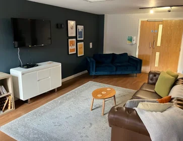 Całe miejsce w rezydencji 36 Edward St, Sheffield S3 7HX, United Kingdom               , obraz 9 25