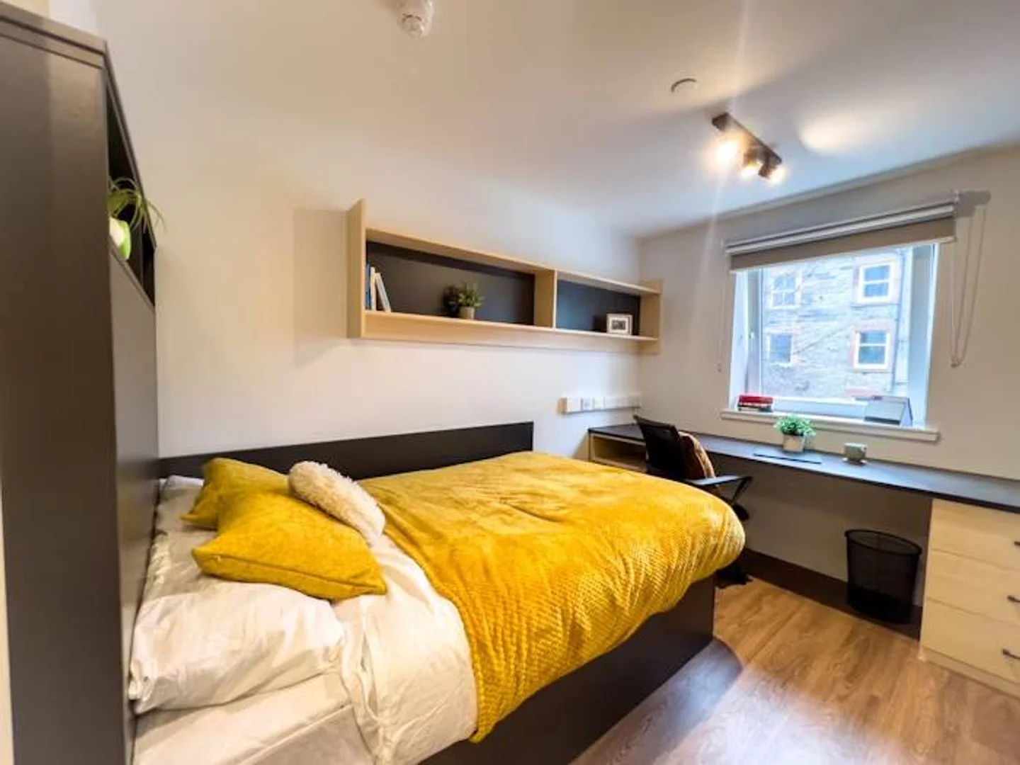 Chambre abordable pour les étudiants avec un bon éclairage dans 