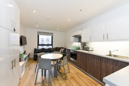 Özel oda Ikamet yerinde konumu Newcastle 1 Blandford Square, Newcastle upon Tyne NE1 4HZ, United Kingdom, 5 19 görüntüsü