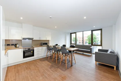 Privatzimmer im Wohnheim in der 28-30 Great Patrick St, Belfast BT1 2LT, United Kingdom , bild 2 von 44
