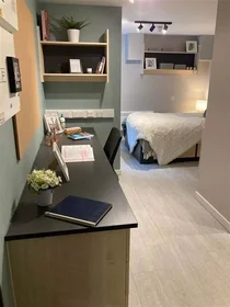 Chambre privée en résidence à 56 Lady Lawson Street, Edinburgh, EH3 9DH, UK, image 8 de 20