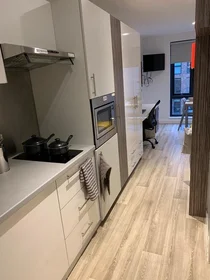 单间公寓 在住宅内 在 Newcastle 1 Blandford Square, Newcastle upon Tyne NE1 4HZ, United Kingdom, 20的图像6