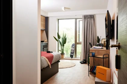 Kawalerka w rezydencji 75 De Montfort Way, Coventry CV4 7FA, United Kingdom, obraz 18 26
