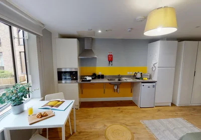 Stüdyo daire Ikamet yerinde konumu Pershore Rd, Birmingham B29 7ES, United Kingdom, 15 26 görüntüsü