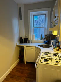 Studio in residence at 1193, Commonwealth Ave., Unit 9, Allston, Boston, MA, 02134, image 13 of 26