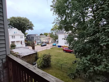 Entire apartment in residence at 47, Litchfield St., Unit 102a, Brighton, Boston, MA, 02135, image 6 of 15