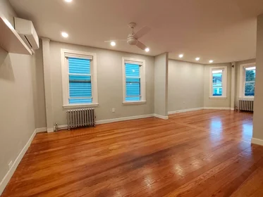 Entire apartment in residence at 47, Litchfield St., Unit 102a, Brighton, Boston, MA, 02135, image 7 of 15