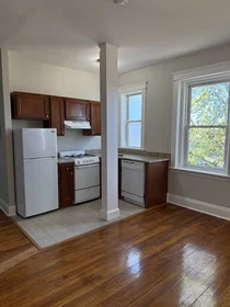 Studio in residence at 1193, Commonwealth Ave., Unit 22, Allston, Boston, MA, 02134, image 9 of 14