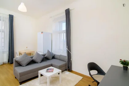 Entire apartment at Sokolská, image 5 of 10