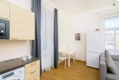 Entire apartment at Sokolská, image 6 of 10