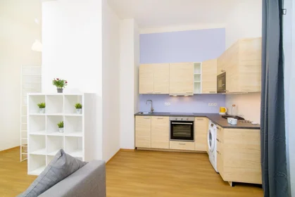 Entire apartment at Sokolská, image 7 of 10