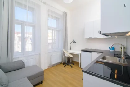 Entire fully furnished flat in {area}