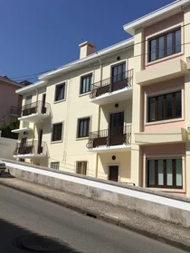 Entire apartment at Rua Teixeira de Carvalho, image 13 of 13