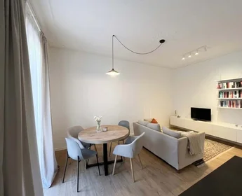 Modern and bright flat in {area}