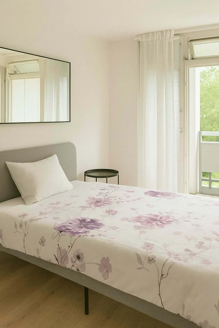 Affordable room for students with ample lighting in