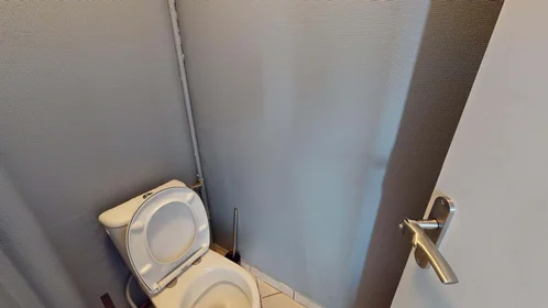 Habitación privada en 80 Cr de Luze, 33300 Bordeaux, France, imagen 22 de 23