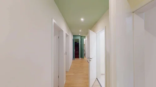 Chambre privée à 18 Rue du Saule, 68100 Mulhouse, France, image 18 de 21