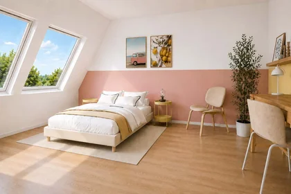 Prywatny pokój 9 Rue Jacob Mayer, 67200 Strasbourg, France, obraz 1 2