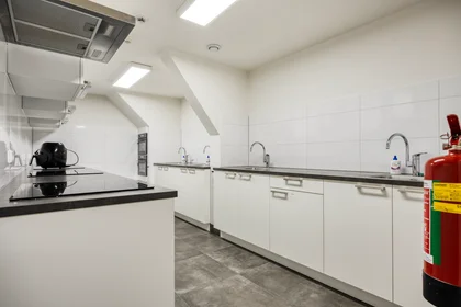 Habitación privada en Berg en Dalseweg, imagen 4 de 8