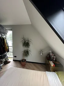 Centralnie położone mieszkanie w {area}