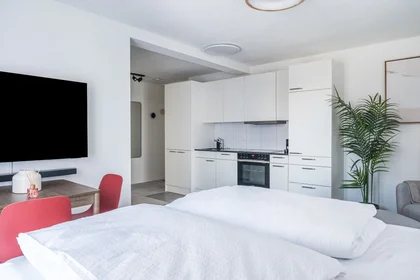 Apartamento inteiro em Zollstrasse, imagem 8 de 8
