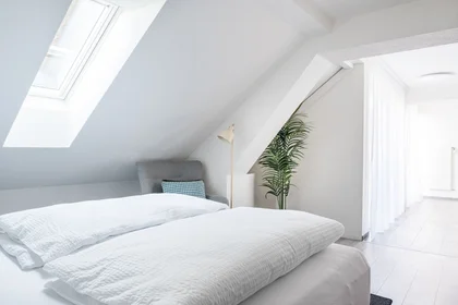 Apartamento inteiro em Zollstrasse, imagem 5 de 10
