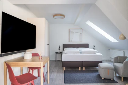 Apartamento inteiro em Zollstrasse, imagem 7 de 10