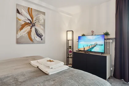 Entire apartment at Friedrich-Engels-Allee, image 2 of 19