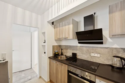 Entire apartment at Friedrich-Engels-Allee, image 13 of 19
