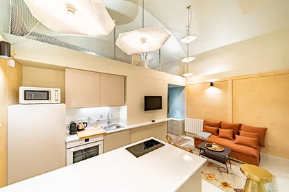 Logement entier à Place Louis Chazette, 1st Arrondissement, image 3 de 10
