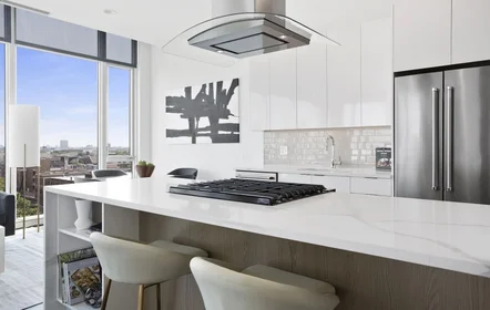 Appartamento intero in West Altgeld Street 930, immagine 17 di 38