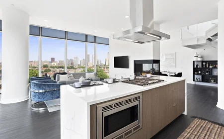 Appartamento intero in West Altgeld Street 930, immagine 18 di 38