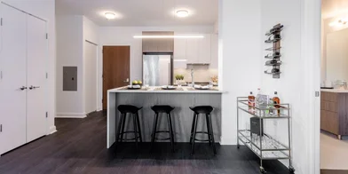Appartamento intero in West Altgeld Street 930, immagine 22 di 38