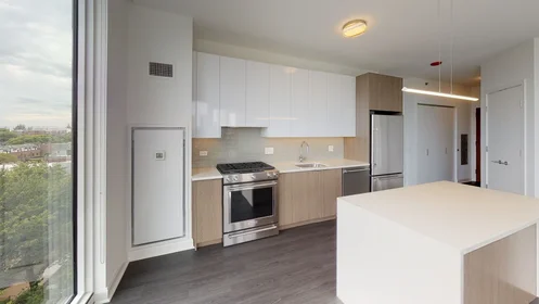 Appartamento intero in West Altgeld Street 930, immagine 7 di 38