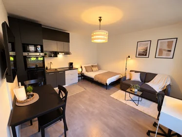 Apartamento entero totalmente amueblado  en {area}